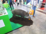 Didacta Stuttgart 2017