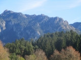 Neuschwanstein