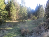 Neuschwanstein