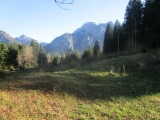 Neuschwanstein