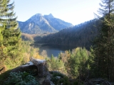 Neuschwanstein